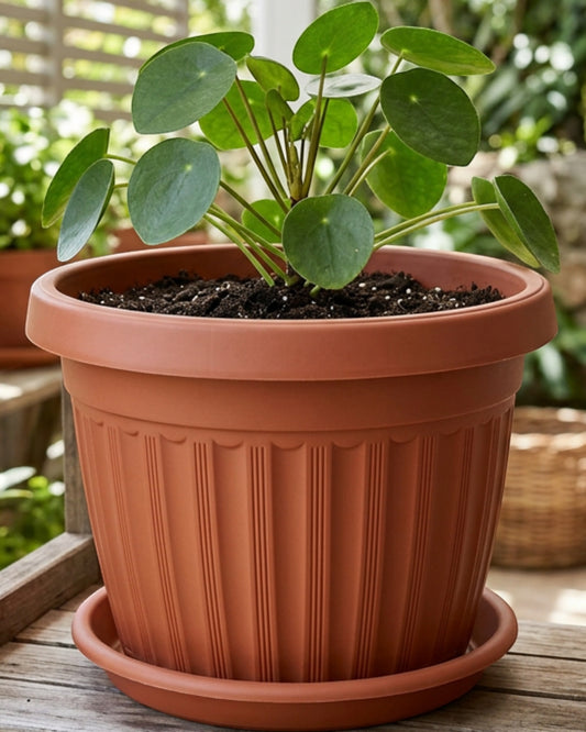 Kgpxf Ribbed Round Plastic Planter with Saucer 12 in Clay Brown - Lifestyle view